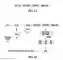 Fig. 02 - HIGH STARCH ACCUMULATION IN PLANTS