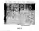 Fig. 07 - METHOD OF MERISTEM EXCISION AND TRANSFORMATION