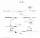 Fig. 06 - Methods and DNA constructs for autoregulating transgene silencing