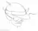 Fig. 01 - DETACHABLE HELMET VISOR