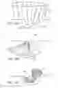 Fig. 10 - Collapsible portable toilet