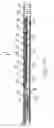 Fig. 07 - Support device which is adjustable by an electric motor