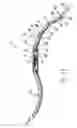 Fig. 15 - Support device which is adjustable by an electric motor