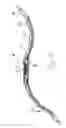 Fig. 17 - Support device which is adjustable by an electric motor