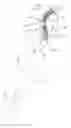 Fig. 01 - ANIMAL TOOTH BRUSH