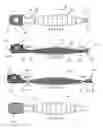 Fig. 10 - ORAL HYGIENE IMPLEMENT AND METHOD OF USE