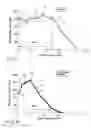 Fig. 06 - Method for manufacturing a coil spring for vehicle suspension