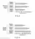 Fig. 07 - Method for manufacturing a coil spring for vehicle suspension
