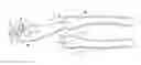 Fig. 01 - CUTTING EDGE FOR A CUTTING TOOL
