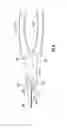 Fig. 07 - CUTTING EDGE FOR A CUTTING TOOL