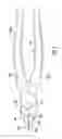 Fig. 08 - CUTTING EDGE FOR A CUTTING TOOL