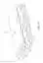 Fig. 07 - Article of footwear with multi-layered support assembly