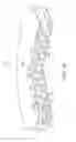 Fig. 08 - Article of footwear with multi-layered support assembly