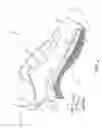 Fig. 03 - Articulating footwear sole