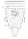 Fig. 10 - Connector pin assembly with dual function outer end portions, and associated ground engaging apparatus