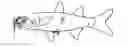 Fig. 01 - Fishing lures