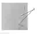 Fig. 01 - Method for producing a mulching sheet for agriculture