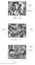 Fig. 24 - Abrasive articles and methods of forming