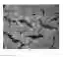 Fig. 02 - GEOTHERMAL GROUT, AND METHODS OF PREPARING AND UTILIZING SAME