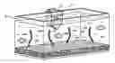 Fig. 01 - ACCLIMATIZATION AND ISOLATION DEVICE FOR AQUATIC ANIMALS