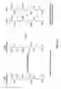 Fig. 03 - Collagen fiber reconstituted rawhide and process for making