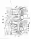 Fig. 02 - VARIABLE VALVE ACTUATION APPARATUS FOR INTERNAL COMBUSTION ENGINE