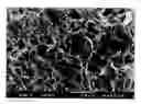 Fig. 01 - Polysaccharide pseudo-sponge