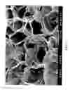 Fig. 06 - Polysaccharide pseudo-sponge