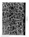 Fig. 07 - Polysaccharide pseudo-sponge