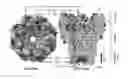 Fig. 01 - MSP nanopores and related methods