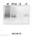 Fig. 28 - MSP nanopores and related methods
