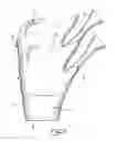 Fig. 07 - ERGONOMIC STACKABLE WATERING CAN