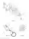 Fig. 02 - Personal portable device keeper