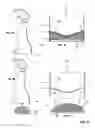 Fig. 06 - ADVANCED SPRAY BOTTLE WITH SYNCLINED FLOOR
