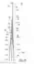 Fig. 06 - FLORAL EASEL