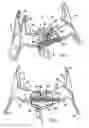 Fig. 05 - Suspension device