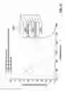 Fig. 19 - Materials, systems and methods for optoelectronic devices