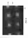 Fig. 40 - Materials, systems and methods for optoelectronic devices
