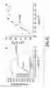 Fig. 71 - Materials, systems and methods for optoelectronic devices