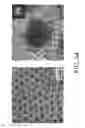 Fig. 05 - Materials, systems and methods for optoelectronic devices