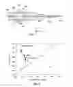 Fig. 05 - Mass spectrometry based multi-parametric particle analyzer