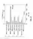 Fig. 11 - Mass spectrometry based multi-parametric particle analyzer