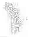 Fig. 19 - Method for stabilizing strip during winding