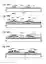 Fig. 23 - Display device