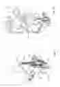Fig. 08 - Mechanical override device