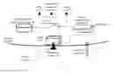 Fig. 01 - Communication antenna automatic orientation apparatus and method