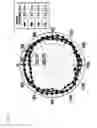 Fig. 11 - MULTIBAND AND BROADBAND ANTENNA USING METAMATERIALS, AND COMMUNICATION APPARATUS COMPRISING THE SAME