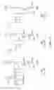 Fig. 07 - ACTIVE MATRIX ORGANIC LIGHT EMITTING DIODE DISPLAY HAVING RESET FUNCTION