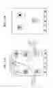 Fig. 11 - Method and apparatus for interfacing
