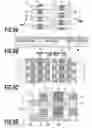 Fig. 10 - Liquid ejection head and ink jet printing apparatus